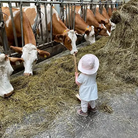 Alojamento de Turismo Rural Ferienparadies Taxen