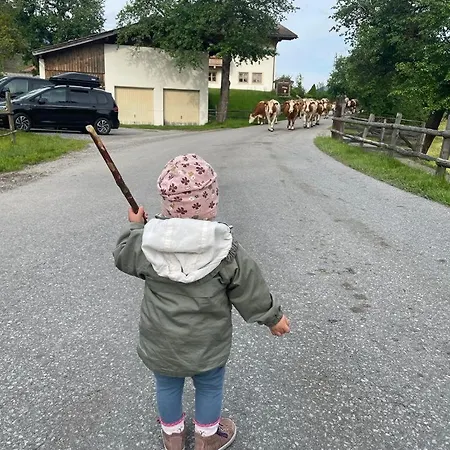 Bauernhof Ferienparadies Taxen *