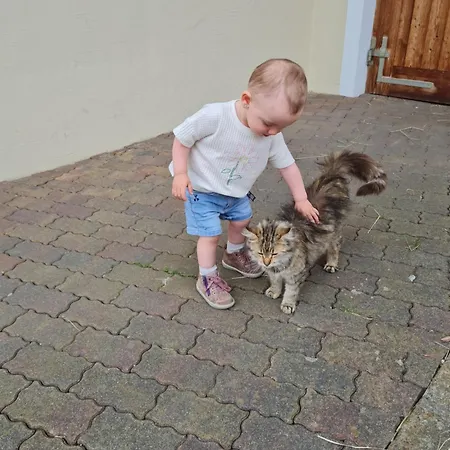Bauernhof Ferienparadies Taxen