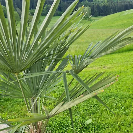 Bauernhof Ferienparadies Taxen