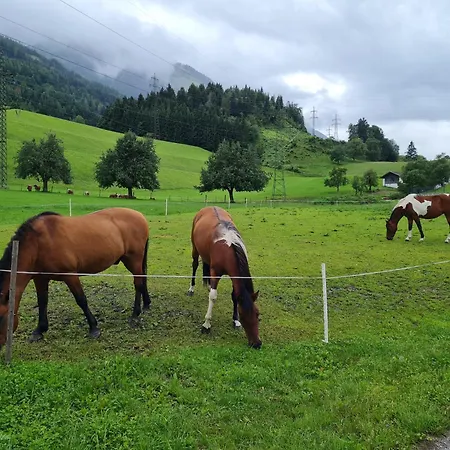 Ferienparadies Taxen * Sankt Veit im Pongau