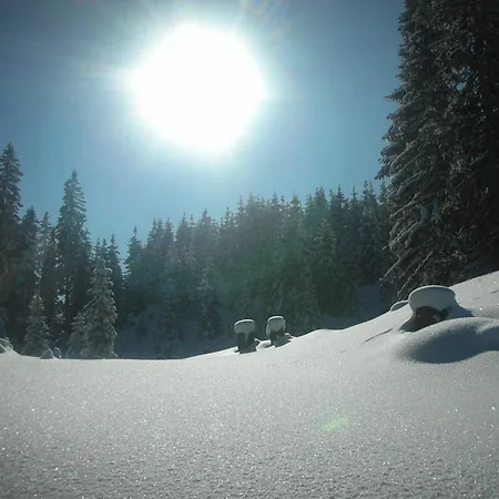 Bauernhof Ferienparadies Taxen
