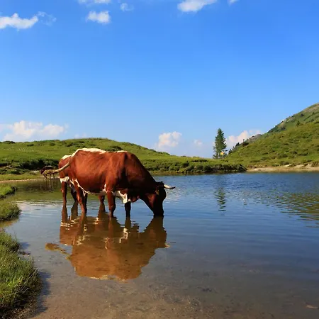 Ferienparadies Taxen Bauernhof