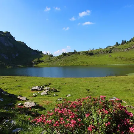 Ferienparadies Taxen Bauernhof *