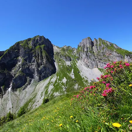 Alojamento de Turismo Rural Ferienparadies Taxen Sankt Veit im Pongau