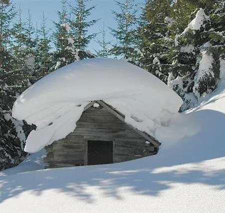 Bauernhof Ferienparadies Taxen *