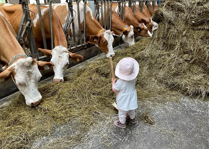 农家乐 塔克森度假别墅