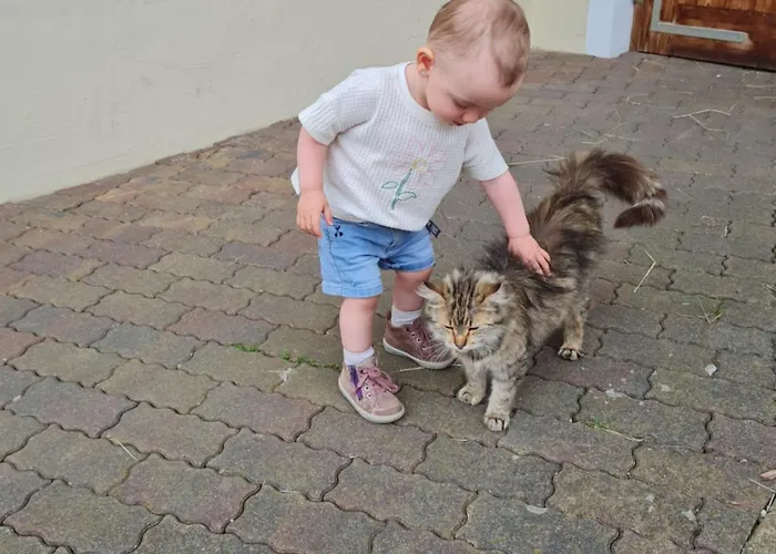 农家乐 塔克森度假别墅