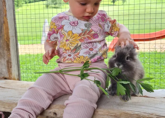 塔克森度假别墅 蓬高地区圣法伊特