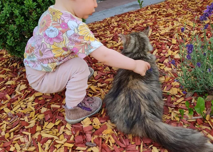 塔克森度假别墅 蓬高地区圣法伊特