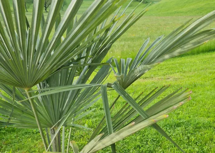 农家乐 塔克森度假别墅