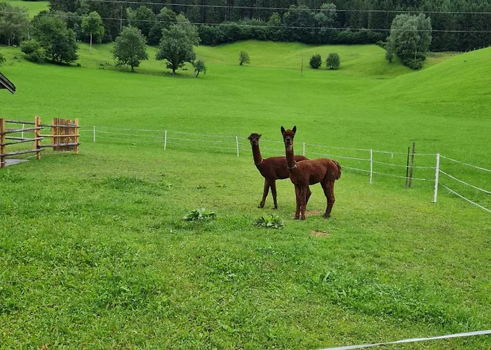Vakantieboerderij Ferienparadies Taxen
