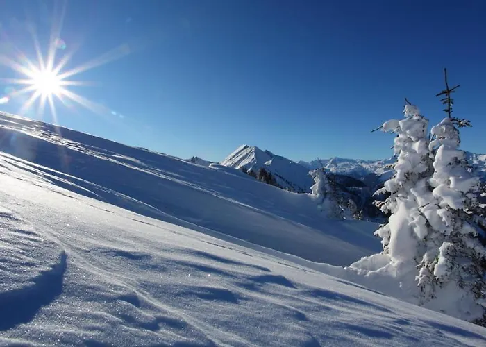 塔克森度假别墅 蓬高地区圣法伊特