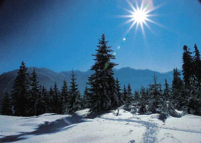 塔克森度假别墅 * 蓬高地区圣法伊特