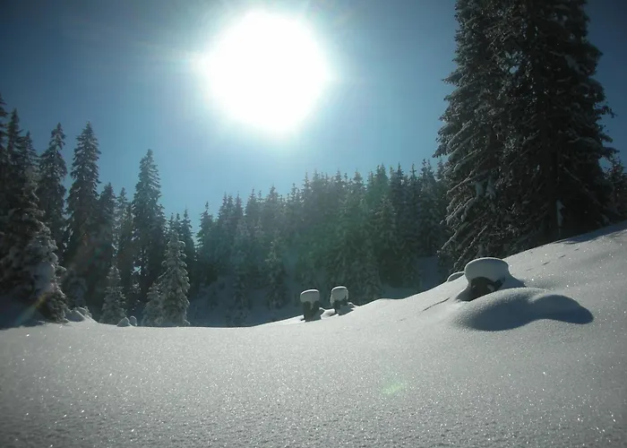 农家乐 塔克森度假别墅