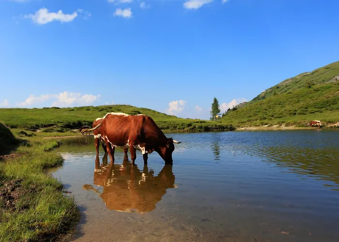 塔克森度假别墅 农家乐