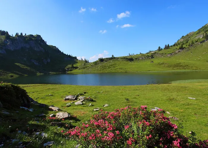 塔克森度假别墅 农家乐 *