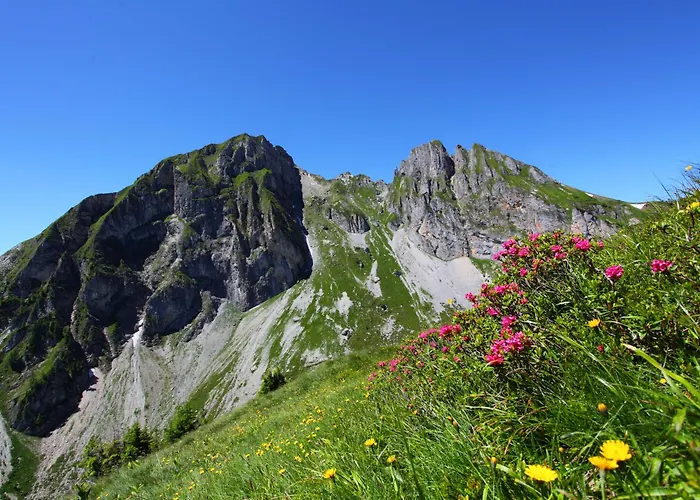 农家乐 塔克森度假别墅 蓬高地区圣法伊特