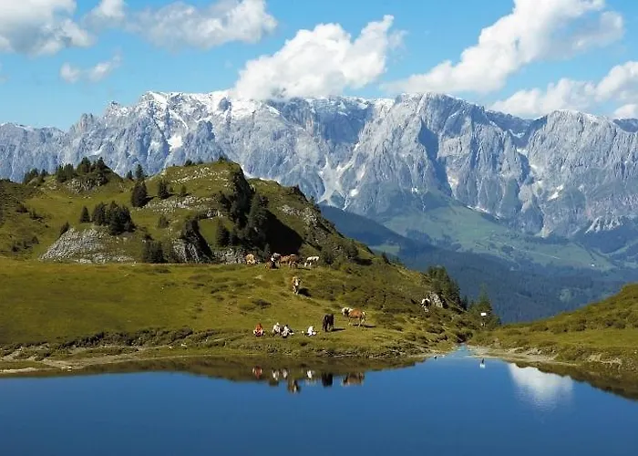 塔克森度假别墅 *